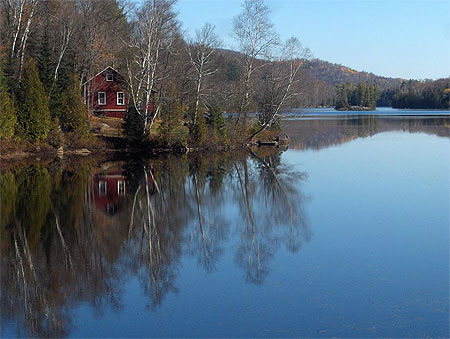 Fin d'automne