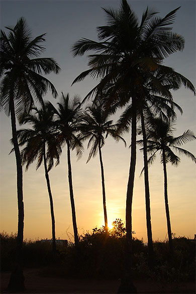 Coucher de soleil � Goa
