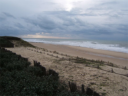 Lacanau Ocean