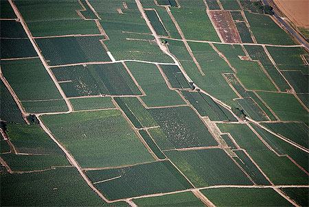 Paysage de Champagne
