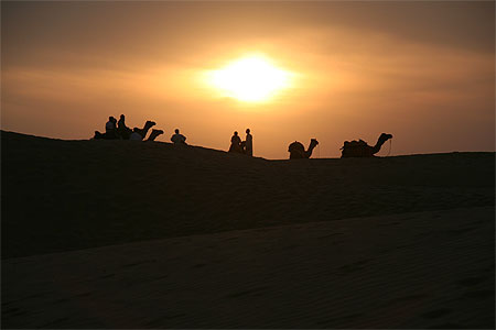 Coucher de soleil en dromadaire