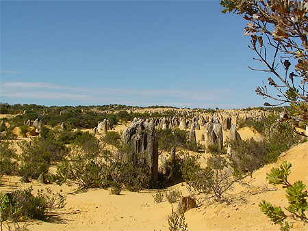 D�sert des Pinnacles