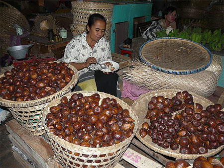Marchande de Salak