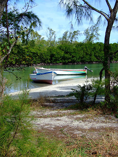 Une pirogue � la mer