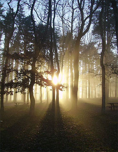 St F�rr�ol sous la brume