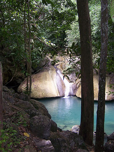 Cascades