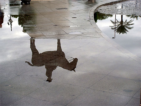 Apr�s la pluie