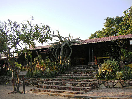 Jericoacoara cactus maison