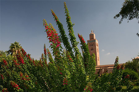 La Koutoubia