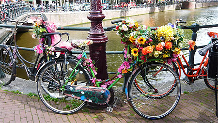 V�lo fleuri Amsterdam