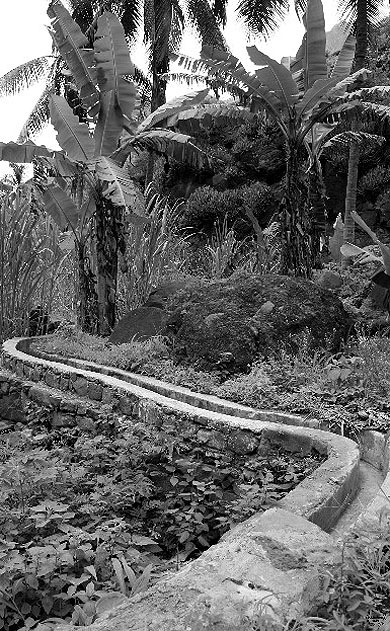 Syst�me d'irrigation des champs