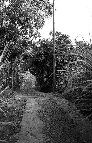 Vers la rua das Bananas