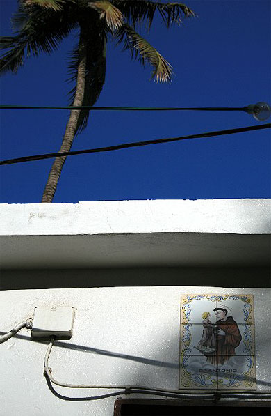 Na rua das Bananas