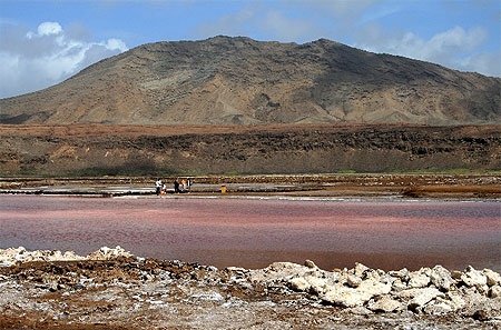 Vue sur les salines