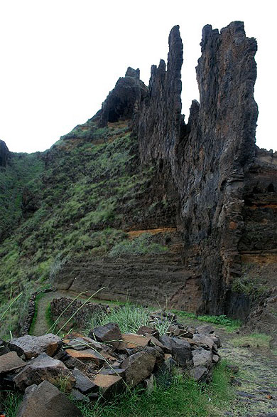 Etonnante nature