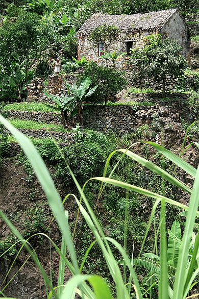 Habitation traditionnelle