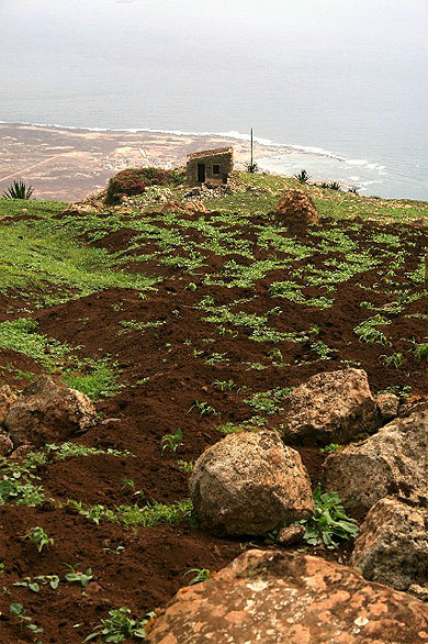 Agriculture
