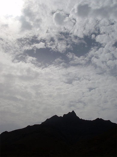 A contre-jour