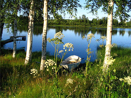 Bord de lac