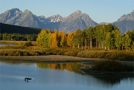Automne au Grand Teton