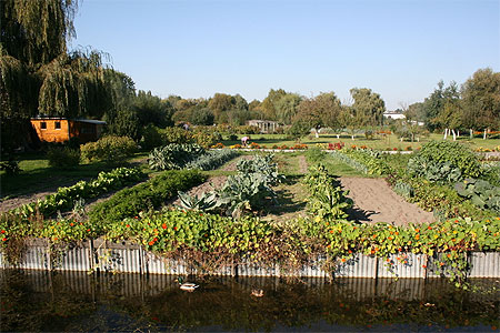Les hortillonnages � Amiens