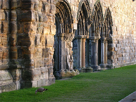 Cath�drale de St andrews