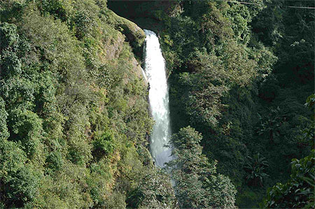 Chute