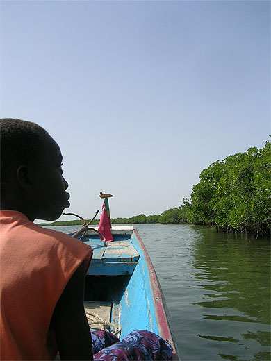 Ballade dans le Delta du Sin� Saloum
