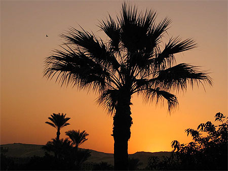 Coucher du soleil 