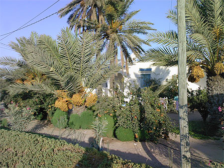 Une maison djerbienne