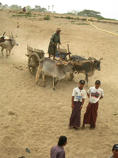 Descente de l'irrawaddy dans le bateau public
