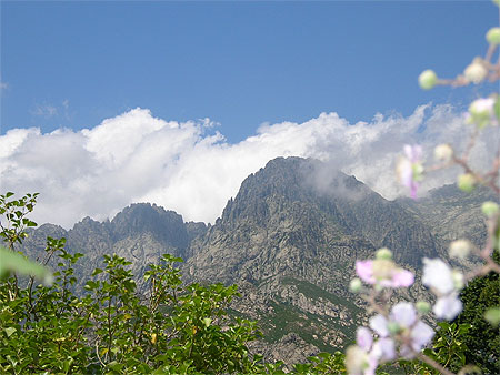 Monte d'Oro vue de l'�glise ste Lucie