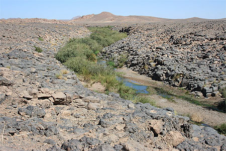 Alg�rie - Hoggar - La ligne verte ou la vie en terrain hostile
