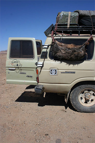 Alg�rie - Hoggar - L'essentiel pour survivre...