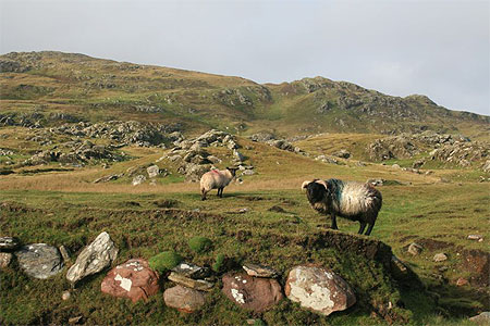 Les habitants de l'�le