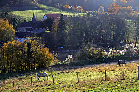 Automne en Normandie