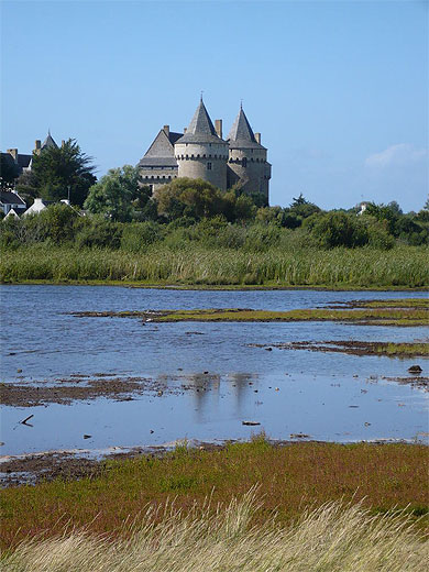 Ch�teau de Succino