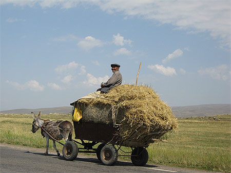 Paysan sur le plateau du Shirak