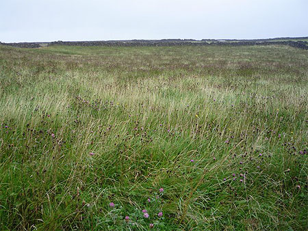 Inis Mor