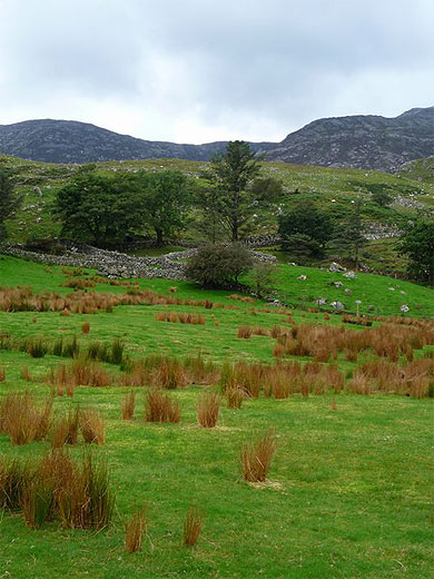 Connemara