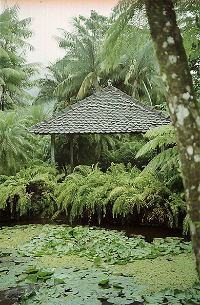 Jardin Martiniquais