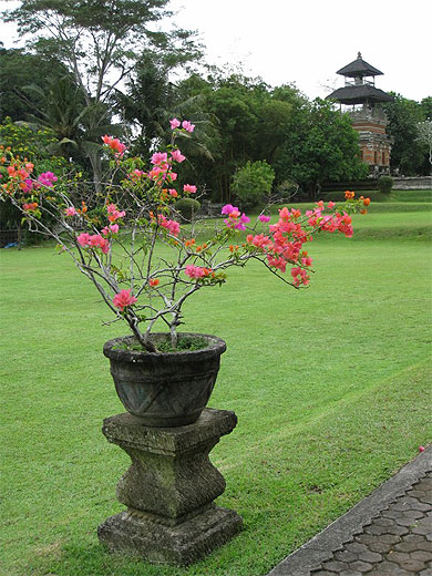 Jardin du Temple Pura Taman Ayun