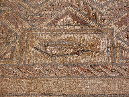 Chypre poisson