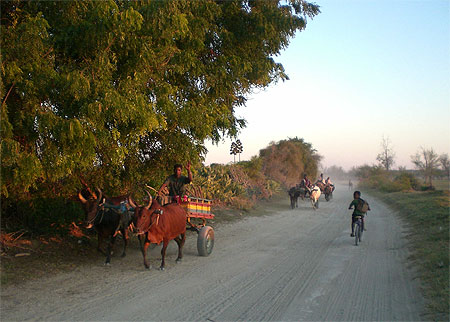Course de charettes