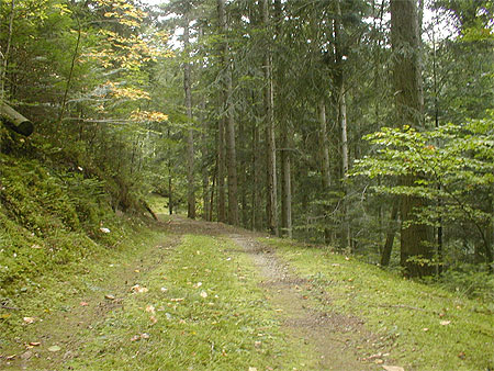 Haute vall�e du Doux