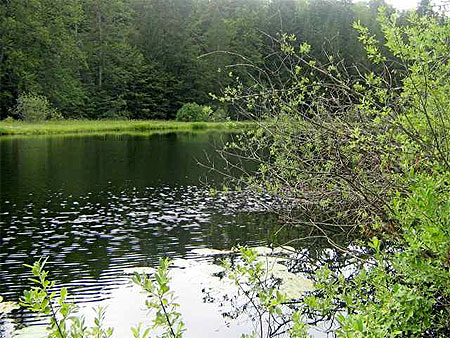 Lac de la fauge