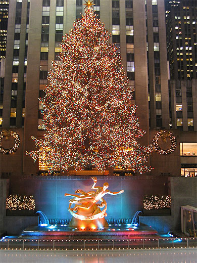 Le sapin de No�l