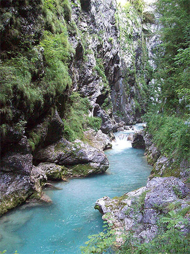 Gorges de la Tolminka