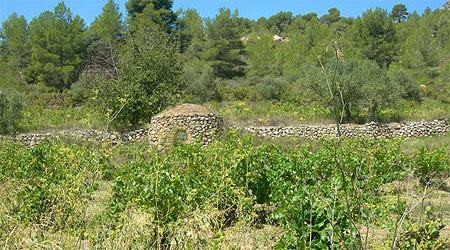 Loge de vignes � l'espagnol