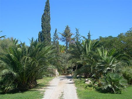 Jardin espagnol